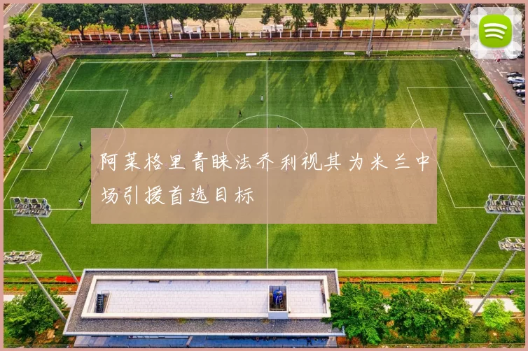 阿莱格里青睐法乔利视其为米兰中场引援首选目标