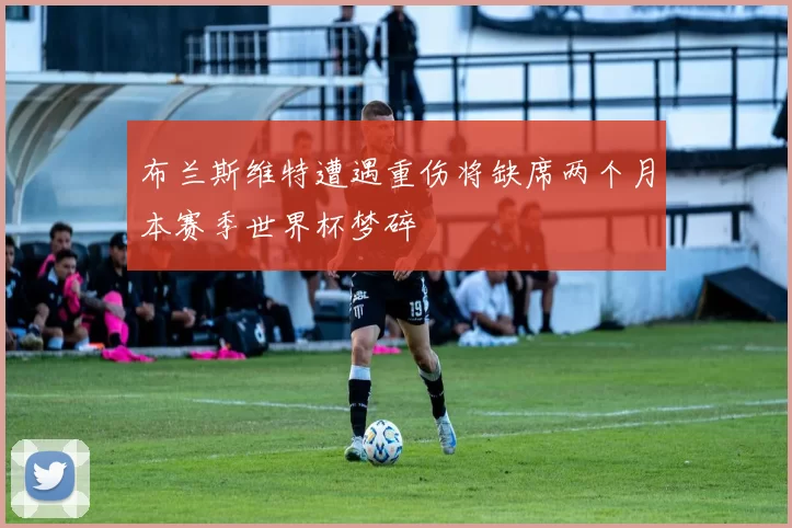 布兰斯维特遭遇重伤将缺席两个月本赛季世界杯梦碎